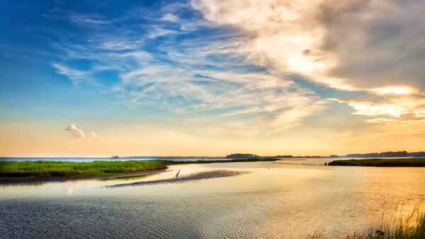 Yaw, Martin Resolution Designates June 8-14, 2025, as “Chesapeake Bay Awareness Week” in Pennsylvania